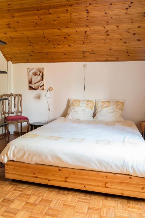 Vakantiewoning Het Oude Laer ビルゼン エクステリア 写真