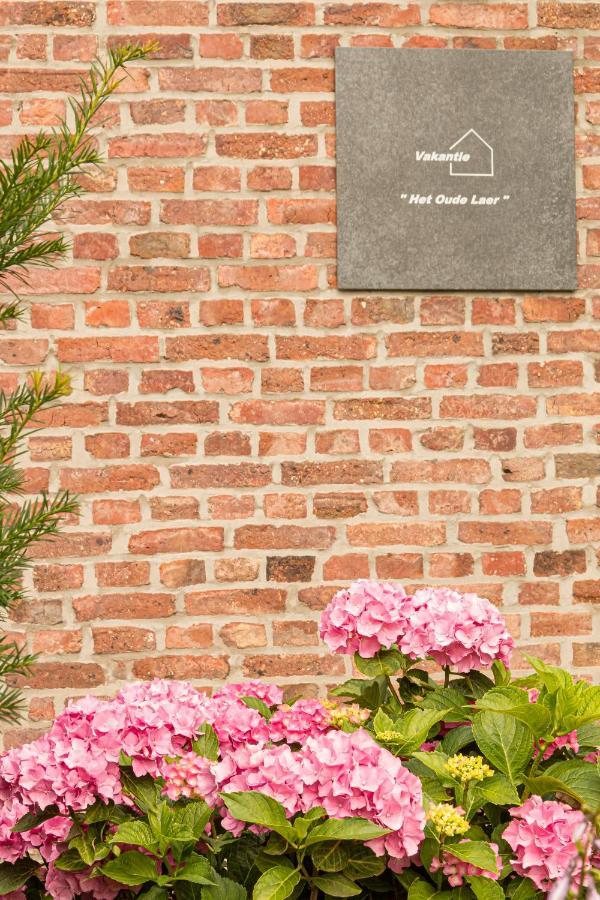 Vakantiewoning Het Oude Laer ビルゼン エクステリア 写真